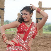 Haripriya Exclusive Gallery From Pilla Zamindar Movie | Picture 101919